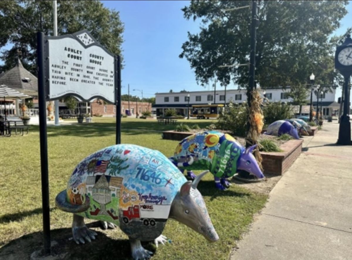 Armadillos on the square